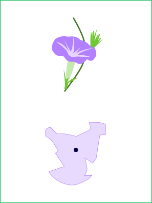 朝顔のイラストと草加市の地図